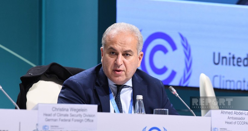 Director General: Egypt fully supports Baku Call on Climate Action