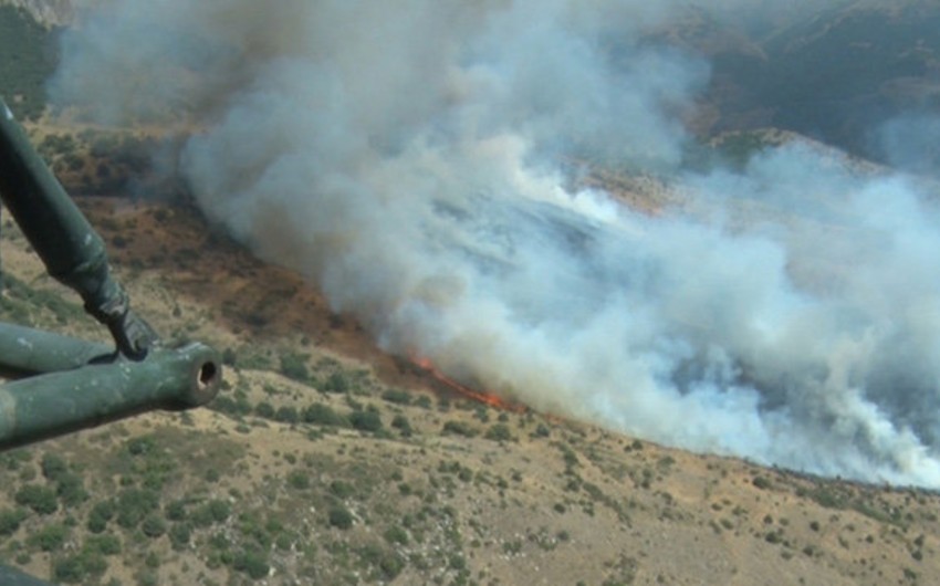 В национальном парке Армении вспыхнул пожар