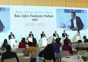 Bakı İqlim Fəaliyyəti Həftəsində iqlimə dayanıqlı İnfrastruktur barədə panel müzakirə baş tutub