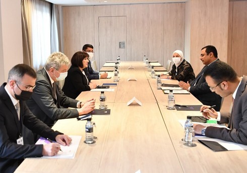 Сахиба Гафарова встретилась с председателем Арабского парламента