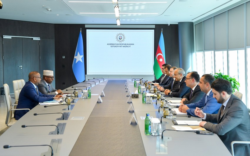 Azerbaijan, Somalia explore opportunities for energy collaboration