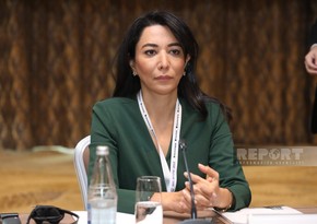 Ombudsman of Azerbaijan presents 2023 report to president