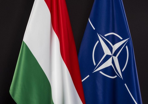 После инцидента в Польше глава обороны Венгрии провел консультации с генсеком НАТО