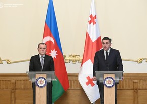 Главы внешнеполитических ведомств Азербайджана и Грузии обсудили двусторонние отношения