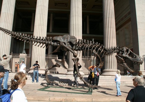 Скелет тираннозавра будет выставлен на аукцион в Нью-Йорке