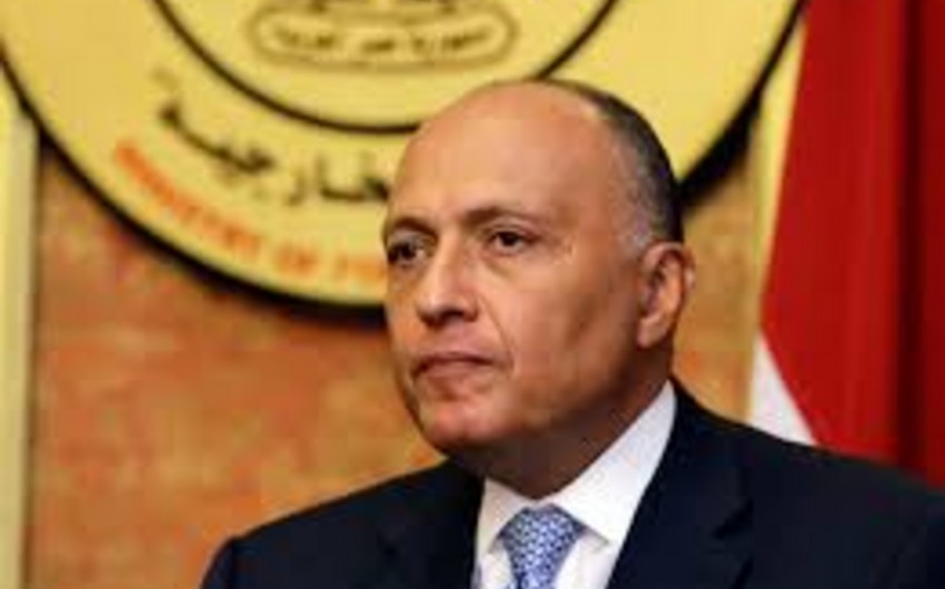 Глава МИД Египта: у Каира и Эр-Рияда нет разногласий по Йемену и Сирии