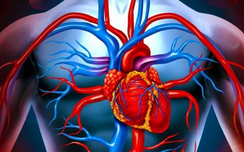 Кардиолог: COVID-19 провоцирует осложнение сердечных заболеваний