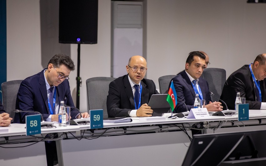 CESI presents report on preliminary feasibility study for Black Sea Energy project