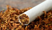 Azerbaijan more than quintuples revenues from tobacco exports 