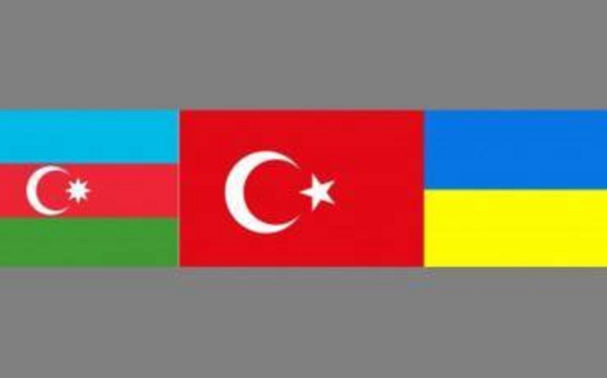 Азербайджан, Турция, Грузия и Украина cоздадут контактную группу по борьбе с оргпреступностью