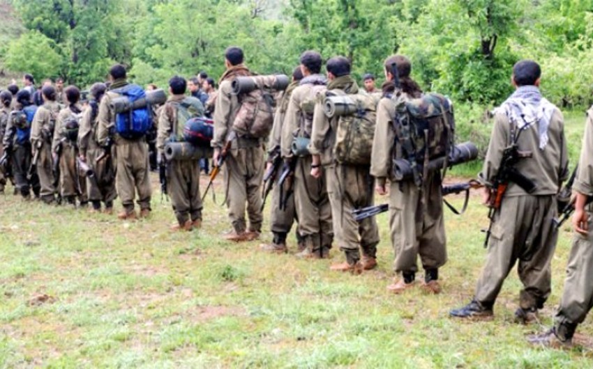 20 PKK terrorists surrender to Turkish security forces