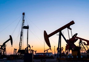 Цены на нефть демонстрируют рост