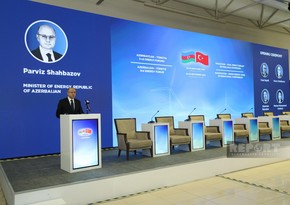 Nazir: Naxçıvanda xarici investisiya hesabına 1500 MVt həcmində külək və günəş enerjisi yaradılacaq