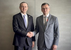 Григорян обсудил с Кулебой перспективы развития двусторонних отношений