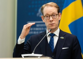 Глава МИД Швеции обсудит в Турции ситуацию со вступлением в НАТО