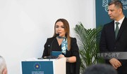 NGOs from Turkic states discuss joint climate initiatives at COP29