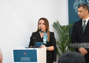 NGOs from Turkic states discuss joint climate initiatives at COP29