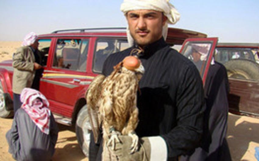 Из плена в Ираке сбежали девять катарских охотников