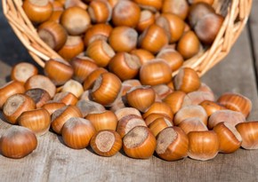 Turkish businessmen buying hazelnut orchards in Azerbaijan and Georgia