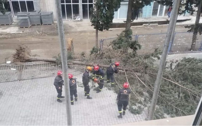 Güclü külək və qasırğa Gürcüstanda ciddi problemlər yaradıb