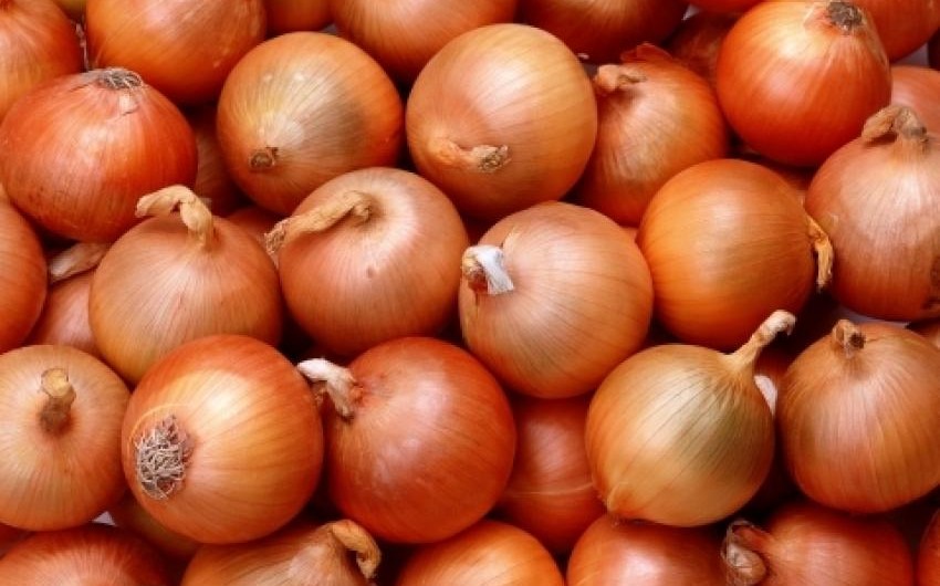 Onion export in Azerbaijan reaches record high
