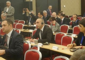 Head of Diaspora: Azerbaijanis living in Europe start new movement - INTERVIEW