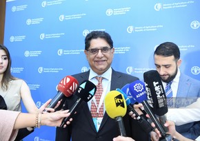 FAO and Azerbaijan improve agri-food systems program for COP29