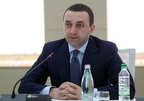 İrakli Qaribaşvili: “Gürcüstan-Azərbaycan əməkdaşlığının gələcək inkişafı üçün yeni imkanlar nəzərdən keçirilib”