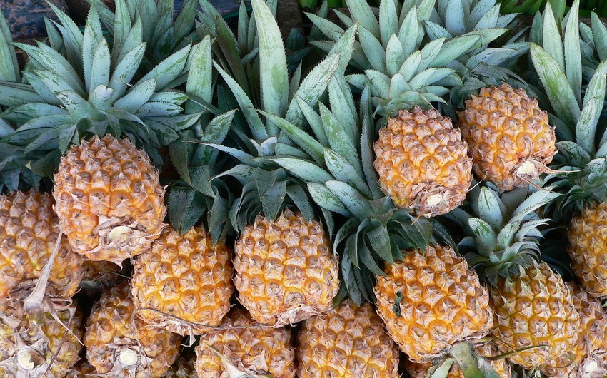 ЮАР возобновила экспорт ананасов в Азербайджан