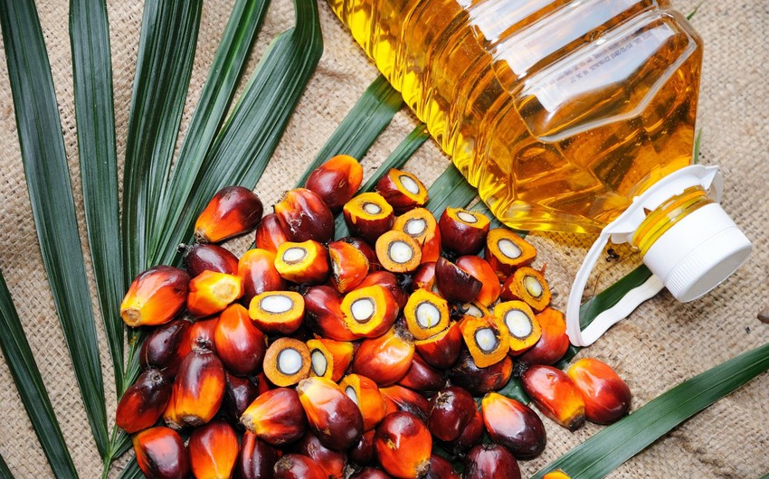 Возобновлены поставки пальмового масла из Турции в Азербайджан