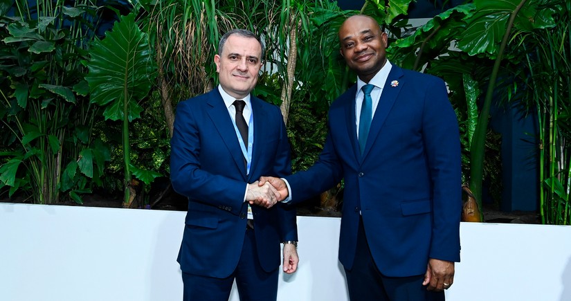 Azerbaijani FM mulls bilateral co-op, COP29 presidency with Colombian counterpart