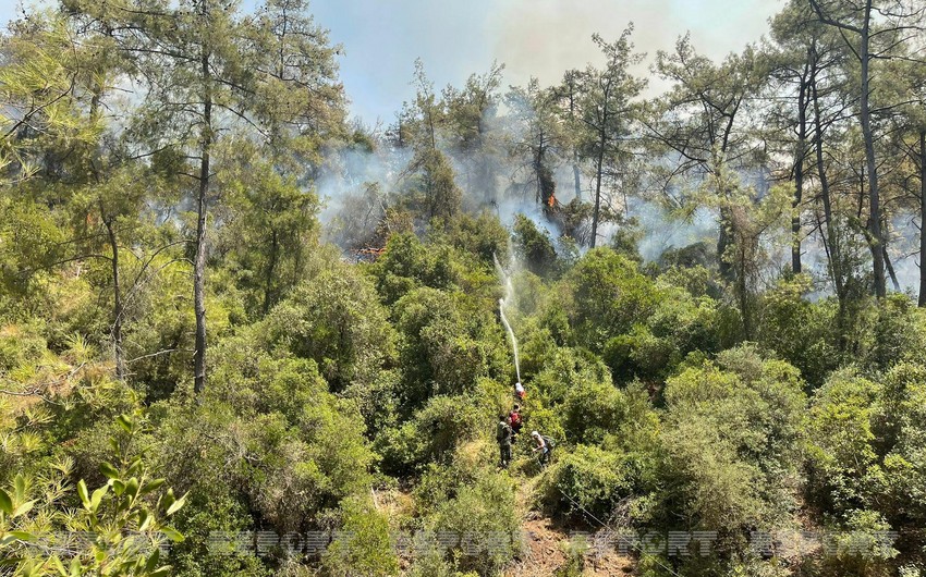 В Турции пожарные Азербайджана успешно продолжают борьбу с огнем