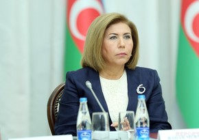 Bahar Muradova: The interests of Azerbaijan were ensured at the OSCE PA session