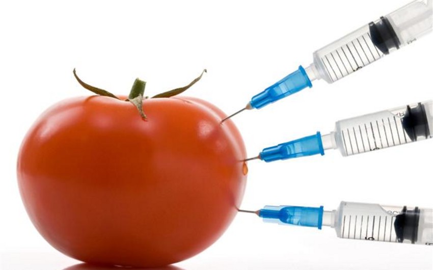 ​В Госдуму РФ внесен законопроект о запрете выращивания ГМО