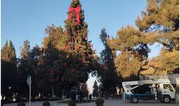 Preparations for New Year celebrations underway in Azerbaijan’s Khankandi