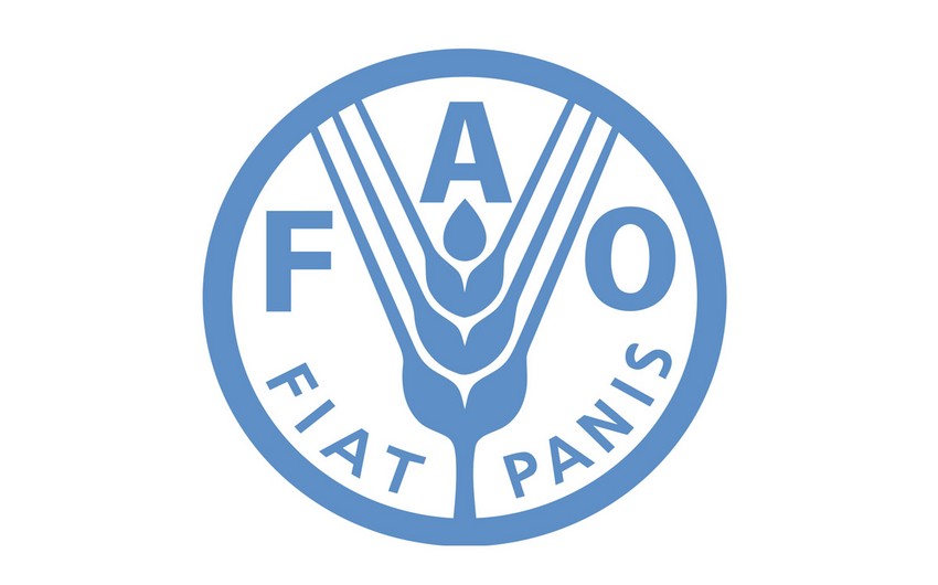 FAO ərzaq qiymətləri barədə hesabatını açıqlayıb