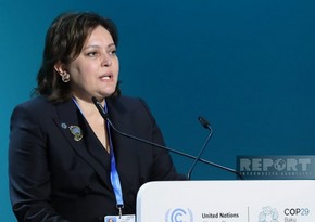 Deputy minister: Conservation of tropical forests central to COP29 presidency's action plan