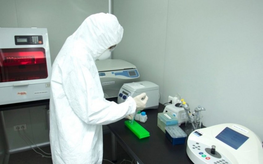 В Азербайджане функционируют лаборатории биобезопасности - ФОТО