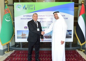 UAE Minister of State says Turkmenistan's role in global energy security growing 