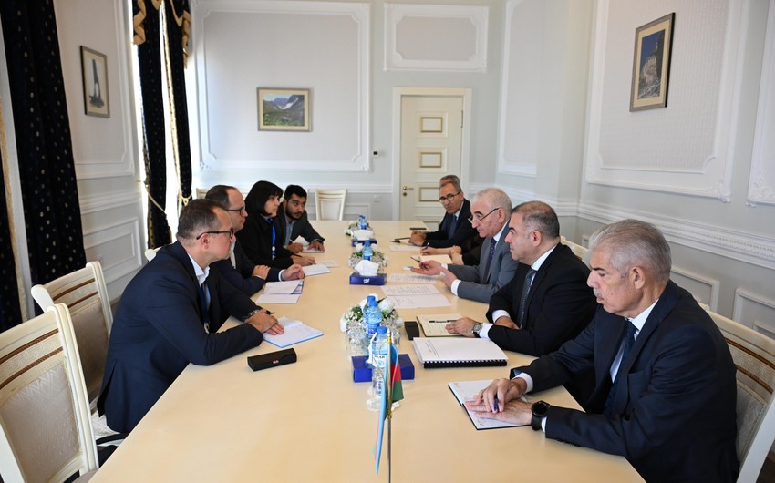 Central Election Commission hosts meeting with OSCE/ODIHR observer delegation 