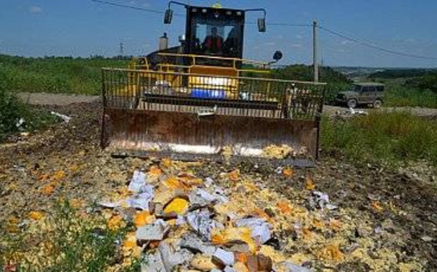 ​В России уже уничтожили 871 тонну санкционных продуктов