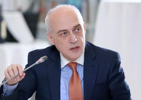 Глава МИД Грузии поздравил Азербайджан в связи с 30-летием восстановления независимости