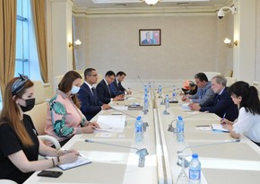 Azerbaijani MPs meet with delegation of French news portal 