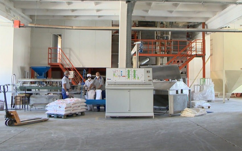 Flour prices fall sharply in Nakhchivan