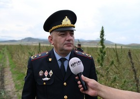 MIA: Strict measures are being taken towards decriminalization in Karabakh