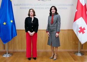 Georgia's Foreign Minister meets with US Ambassador