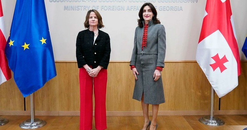 Georgia's Foreign Minister meets with US Ambassador
