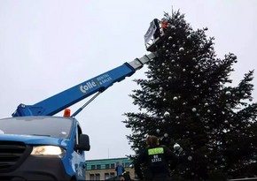 Climate activists saw off top of Christmas tree in Berlin
