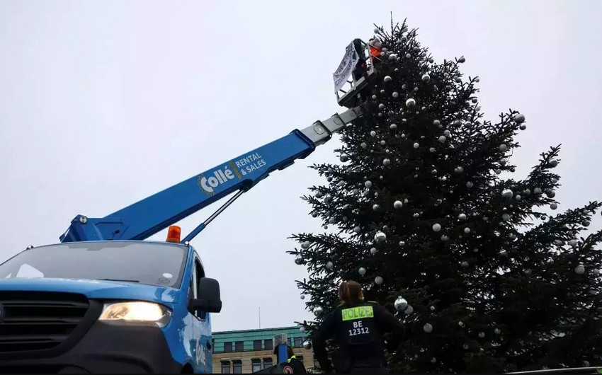 Climate activists saw off top of Christmas tree in Berlin