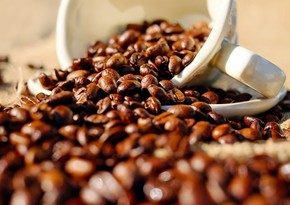 Кения экспортировала почти 97 % произведенного кофе в 2023 году